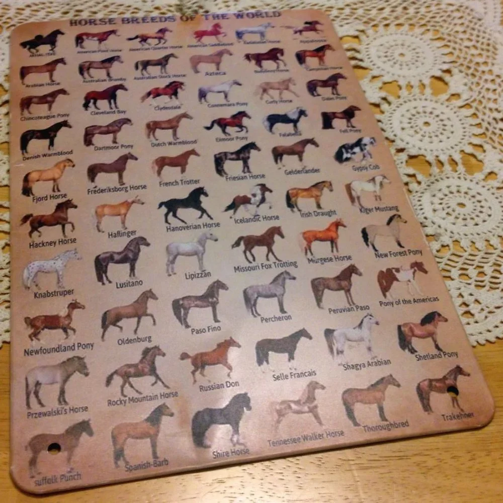 Equine types, sign showing different horse breeds